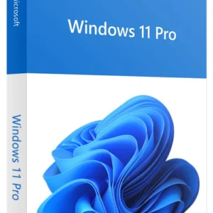 Win 11 Pro OEM Key